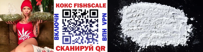 COCAIN FishScale купить закладку Мамадыш