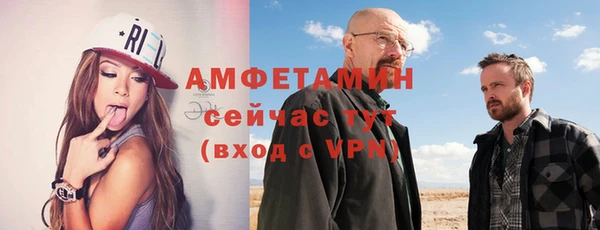 прущие грибы Абаза