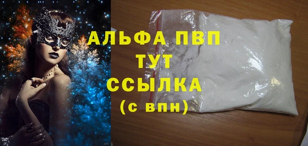прущие грибы Абаза