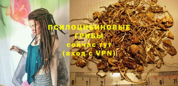 МДПВ Пролетарск