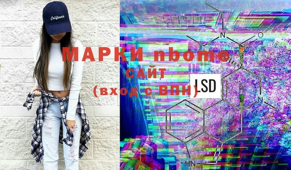 прущие грибы Алзамай